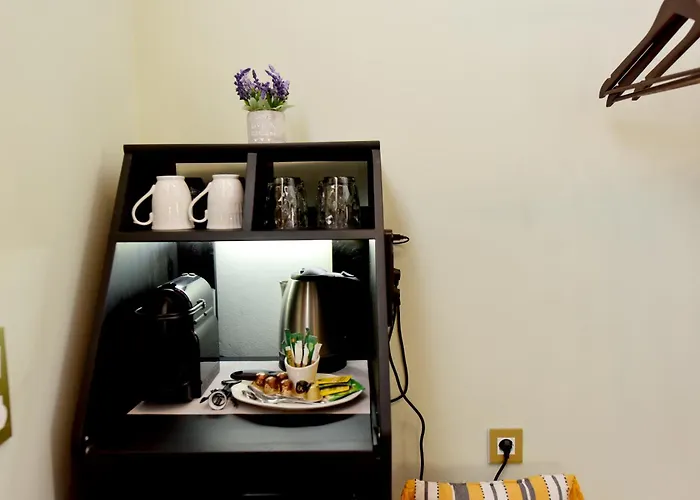 Hotel Elaia-fos 3*